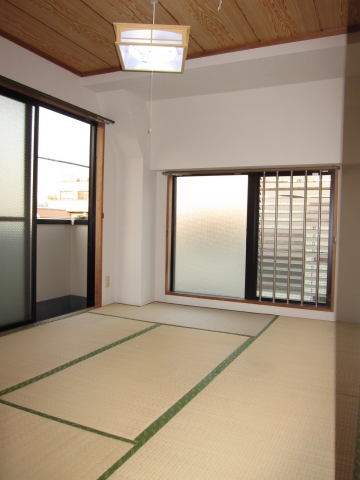 Living and room. Windows of many Japanese-style