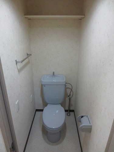 Toilet. Toilet