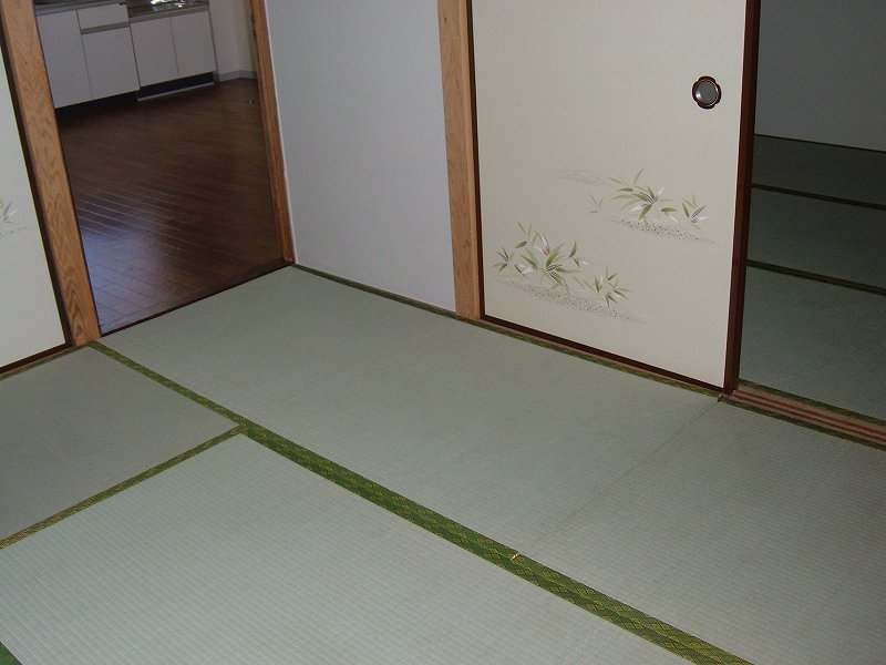 Other room space. Is a Japanese-style room. 