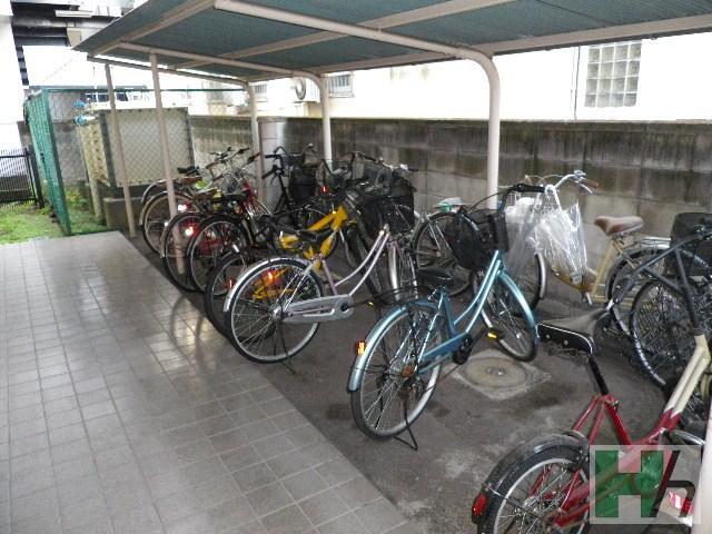 Parking lot. Bicycle-parking space