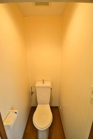 Toilet. Photo is incorporated image of the other room per sky plan