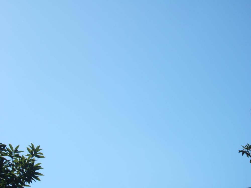 View photos from the dwelling unit. Local (11 May 2013) Shooting