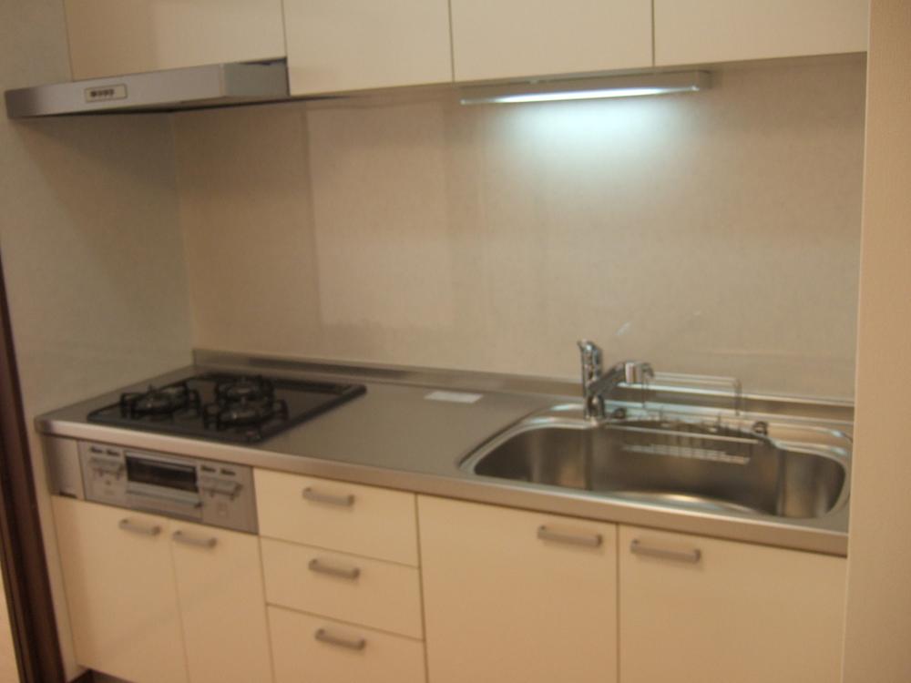 Kitchen. Indoor (11 May 2013) Shooting