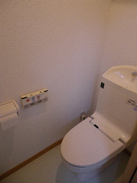 Other. Toilet