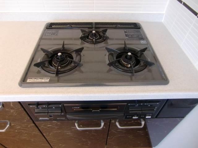 Kitchen. System kitchen (gas 3-burner stove)