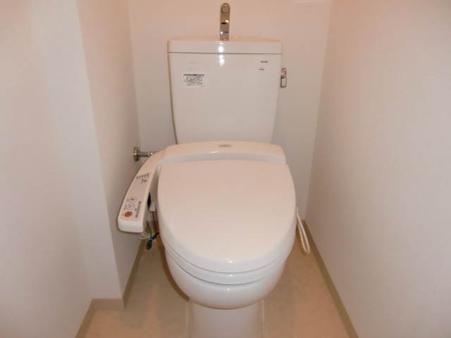 Toilet. Bidet