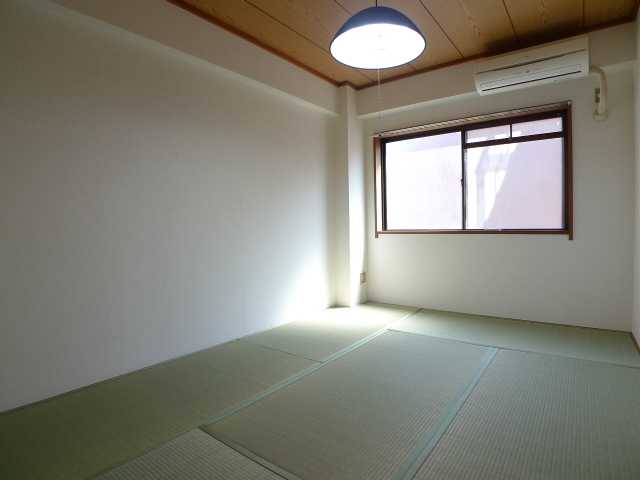 Other room space. Tatami mat sort already