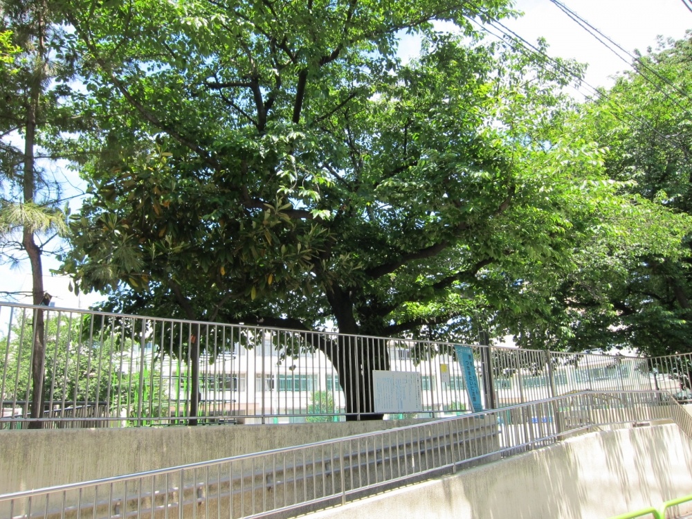 Primary school. 420m to Itabashi Itabashi fifth elementary school (elementary school)