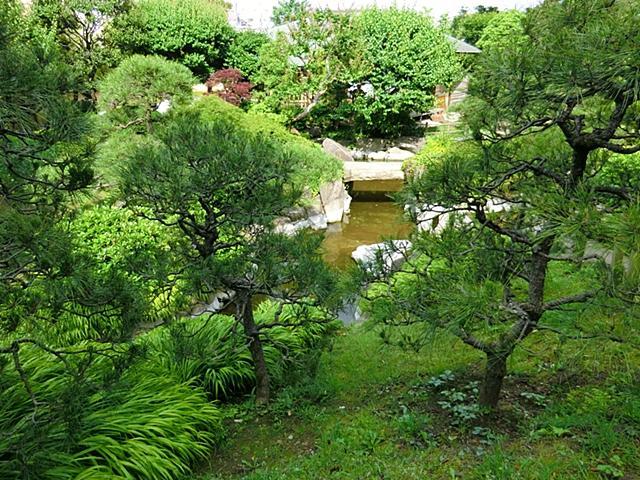 park. I feel the blessings of nature in the nearby lush waterwheel park. 