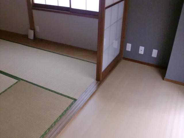 Other introspection. Japanese style room