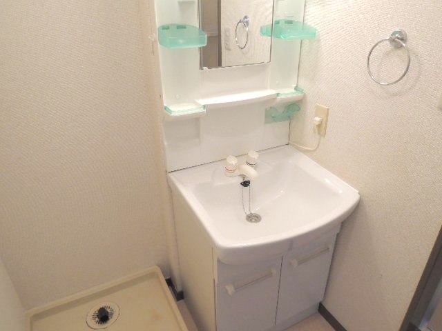 Washroom. Shampoo dresser