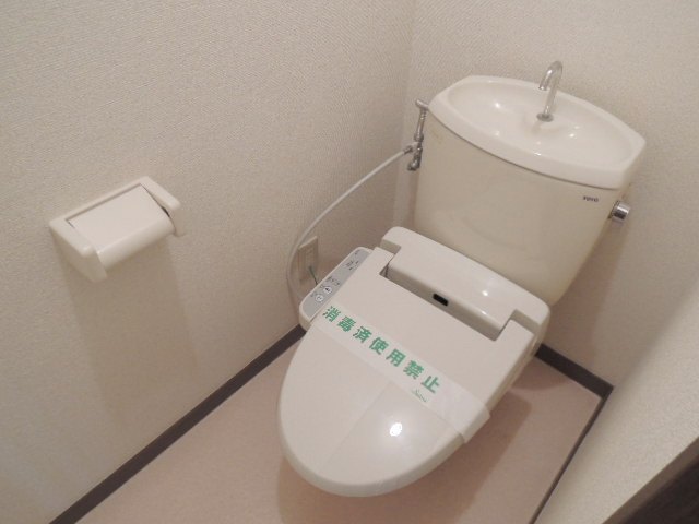 Toilet. Bidet