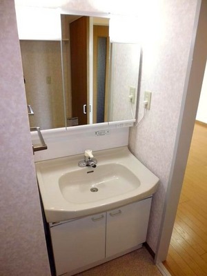 Washroom. Bathroom vanity