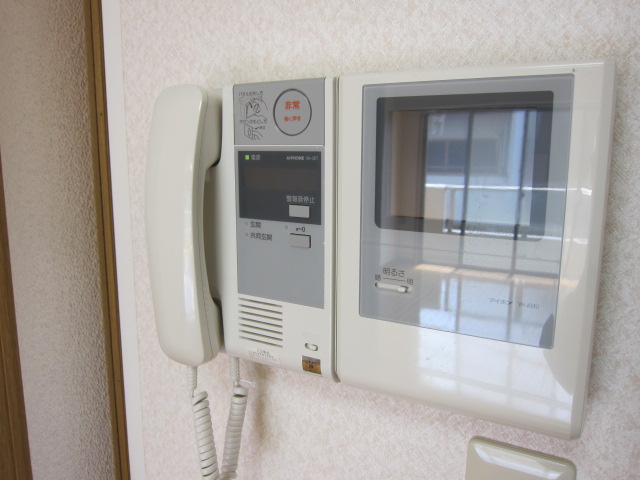 Security. Intercom with TV monitor