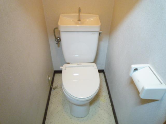 Toilet. Toilet