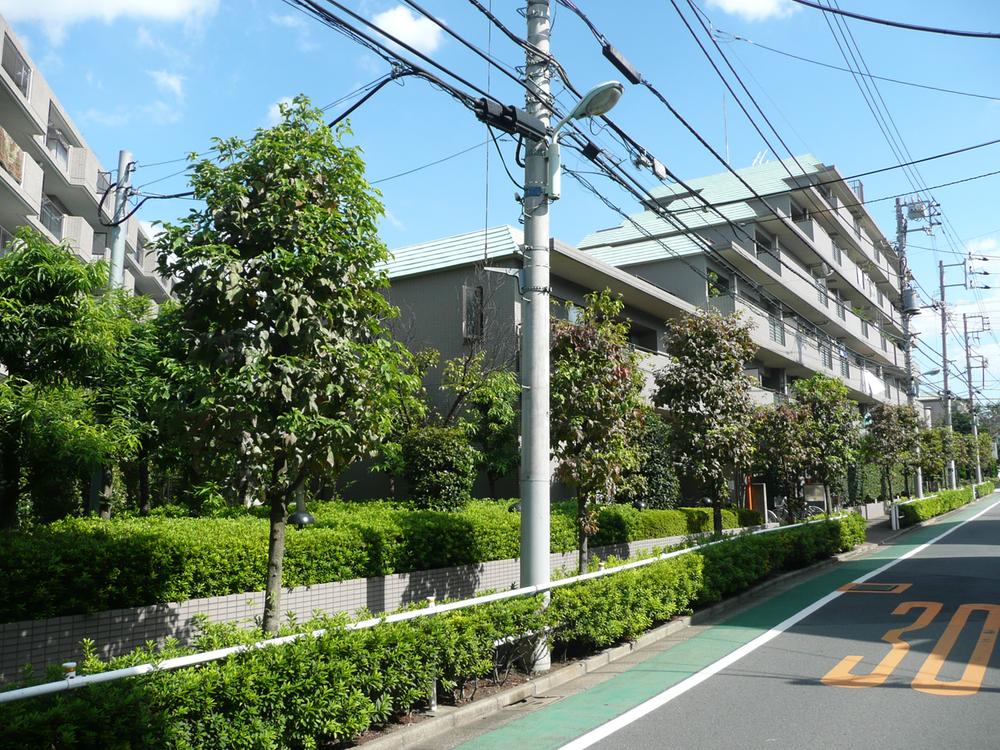 Local appearance photo. appearance