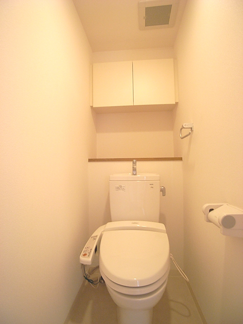 Toilet. Convenient storage rack in the upper part Washlet