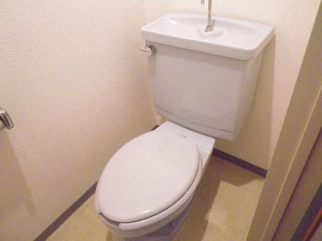 Toilet. Toilet