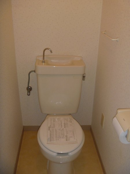 Other. Toilet