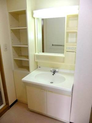 Washroom. Vanity and storage shelves