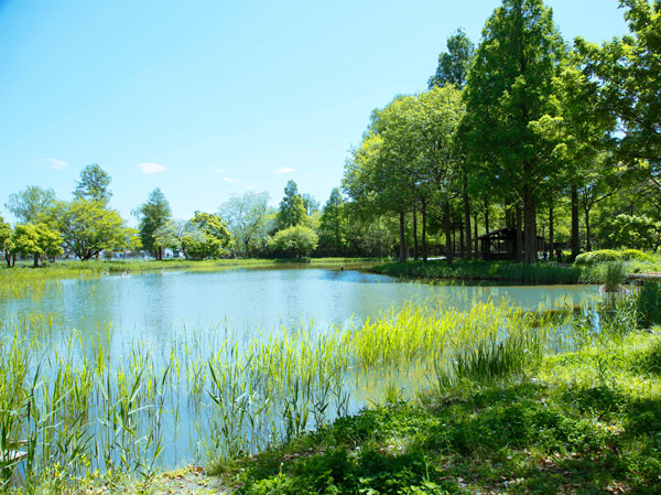 Surrounding environment. Mizumoto Park (about 1900m, 24 minutes walk)