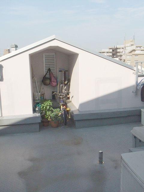 Balcony. roof balcony