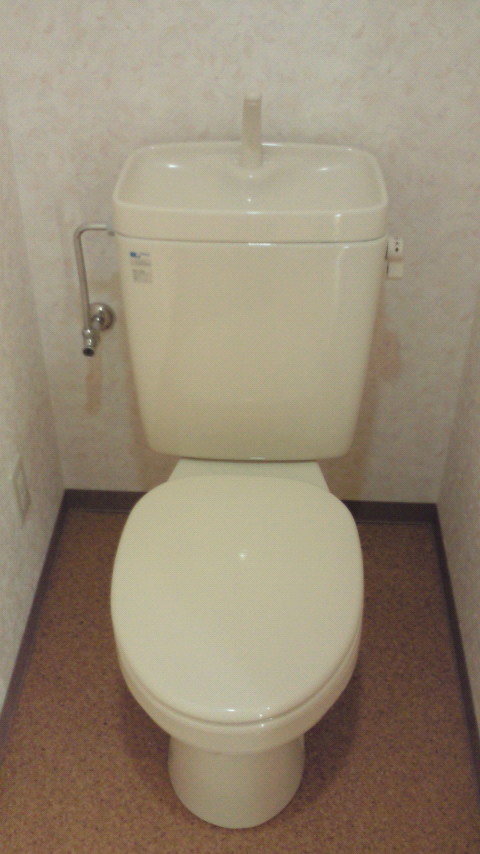 Toilet. Toilet