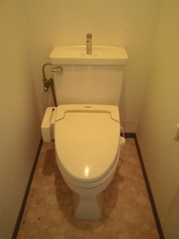 Toilet. Washlet with