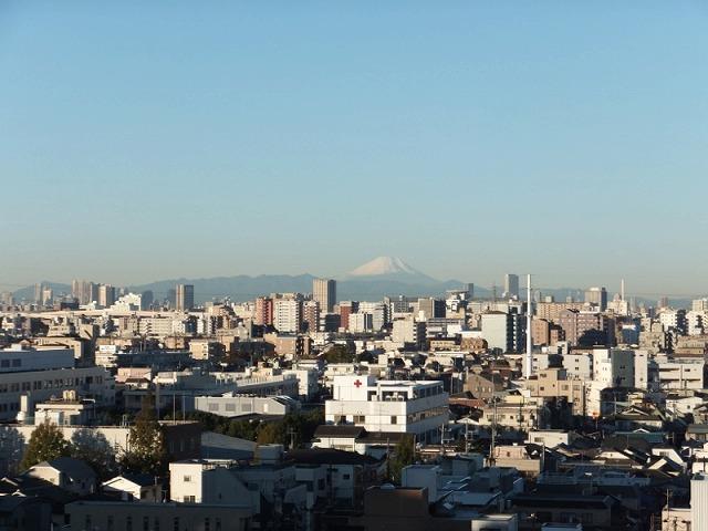 View photos from the dwelling unit. View from the site (November 2013) Shooting