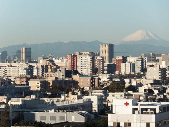 View photos from the dwelling unit. View from the site (November 2013) Shooting