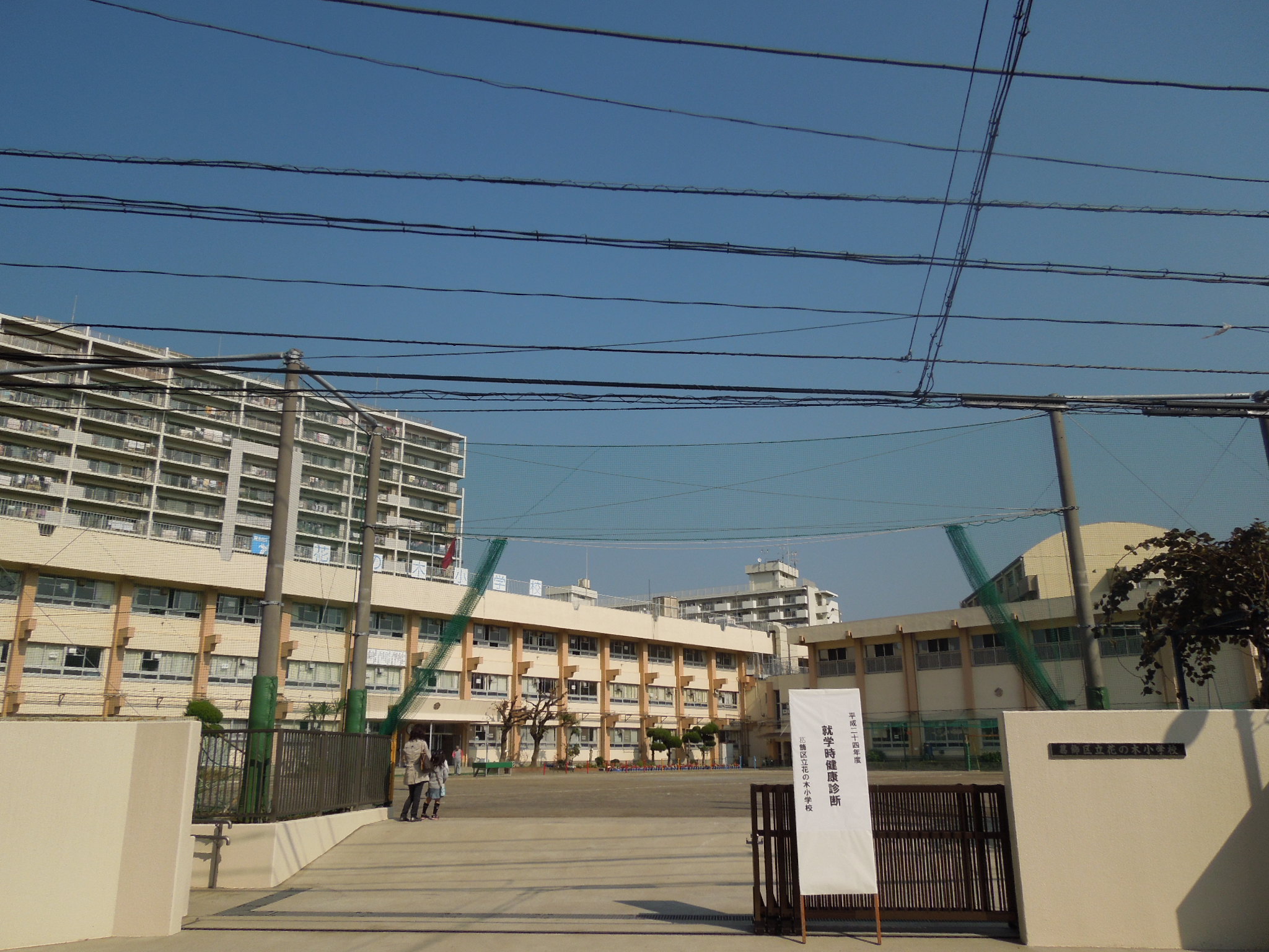 Primary school. Hananoki 800m up to elementary school (elementary school)