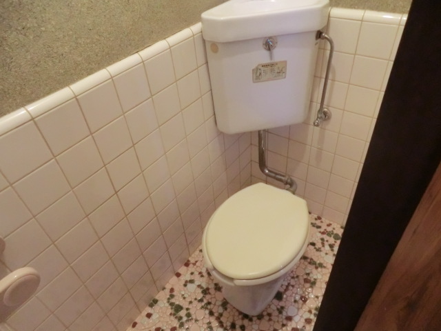 Toilet