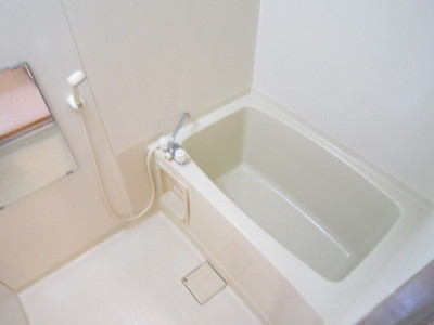 Bath. Bathroom with cleanliness