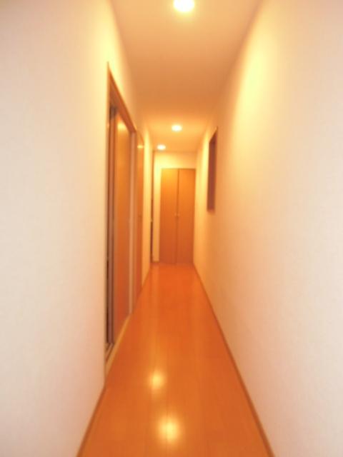 Non-living room. Wide corridor that follows from the front door