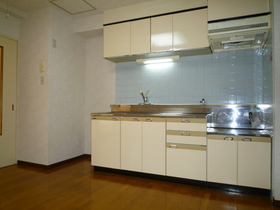 Kitchen. Reference photograph  Two-burner gas stove installation Allowed Kitchen ☆ Storage is also generous, Cooking scan