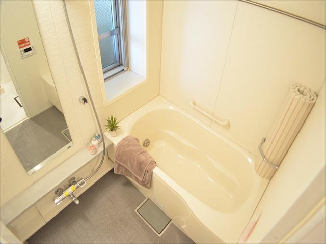 Bathroom. With convenient bathroom dryer