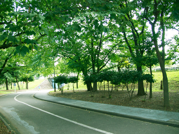 Surrounding environment. North Chiba Sunahara park (about 920m ・ A 12-minute walk)