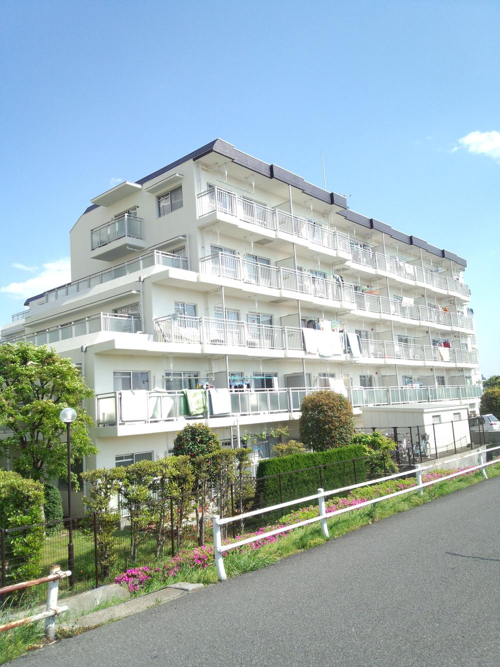 Local appearance photo. Local (August 2013) Shooting