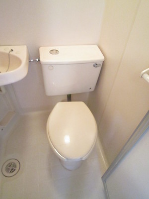 Toilet. Western-style toilet