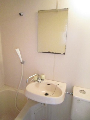 Washroom. Washbasin with mirror