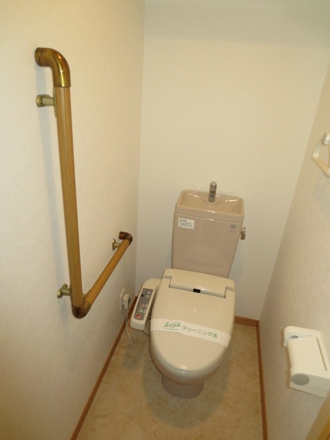 Toilet. With washing heating toilet seat