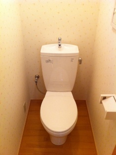 Toilet. Toilet