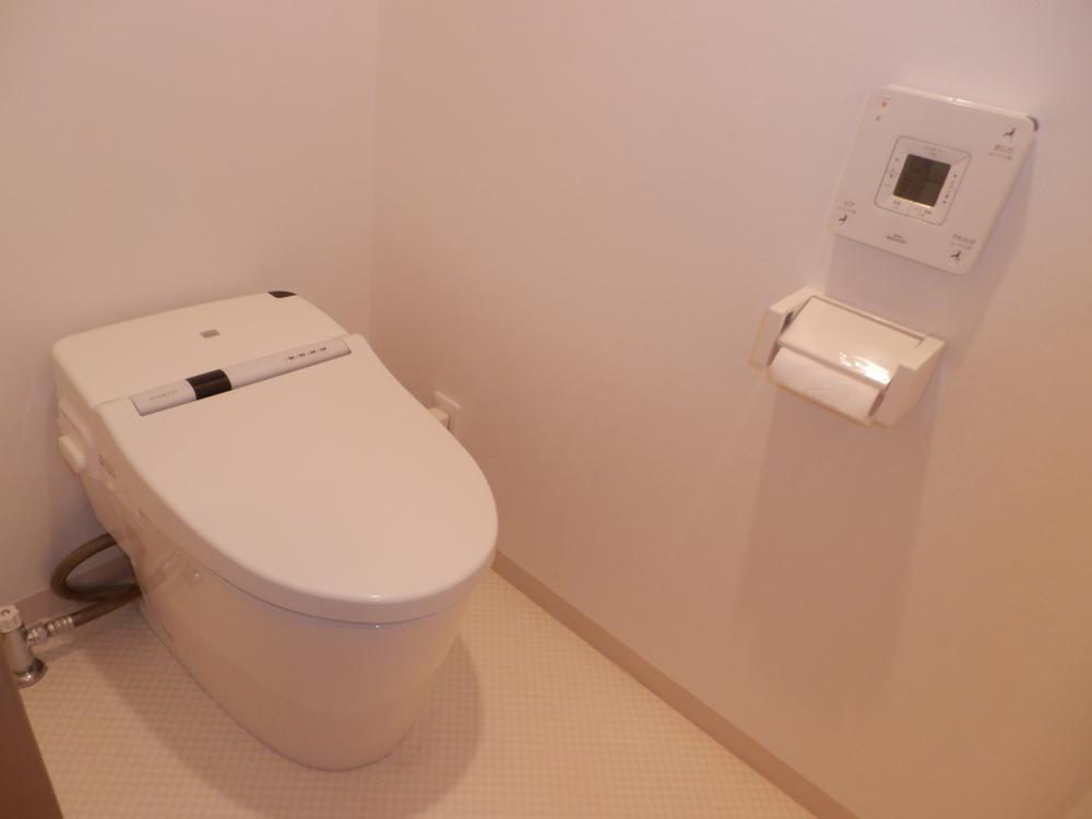 Toilet. Indoor (10 May 2013) Shooting. It is exchanged toilet.