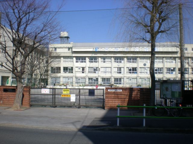 Primary school. Ward to the south Ayase elementary school (elementary school) 490m