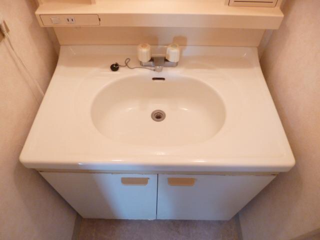 Washroom. Bathroom vanity