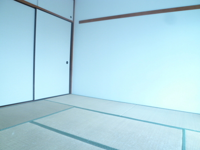 Living and room. With closet / Japanese-style room