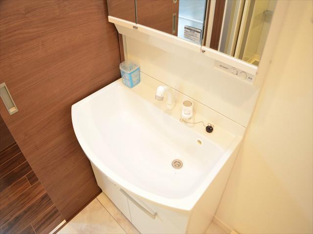 Wash basin, toilet. Plenty of storage in the three-sided mirror