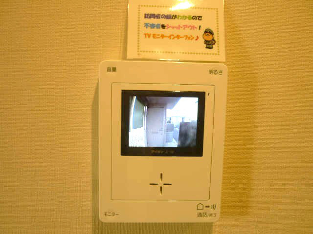 Other Equipment. TV monitor Hong