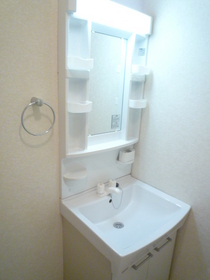 Washroom. Independent washbasin