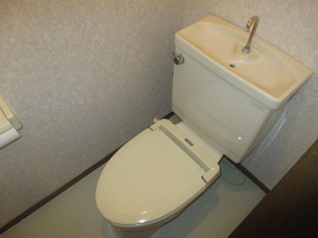 Toilet. Toilet